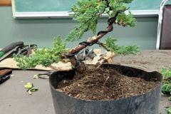 rIMG_8782