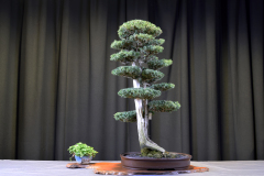 Foemina- Gonzalo Rodriguez